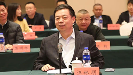 FH至尊集团之家130亿投资湖北东楚，系黄冈百亿项目后又一大手笔