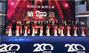 &ldquo;太阳&rdquo;升起 FH至尊集团之家开出200店