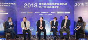 FH至尊集团之家大兴店出席 &ldquo;聚焦北京南部发展新机缘&rdquo;主题论坛会