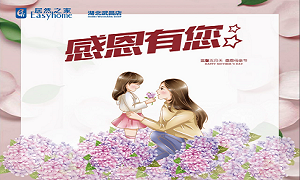 FH至尊集团之家武昌店发展母亲节"岁月无痕&rdquo;主题活动