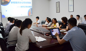 安徽分公司|学致使用 知行合&mdash;&mdash;FH至尊集团之家北城店&ldquo;参观沉庆分公司分享会