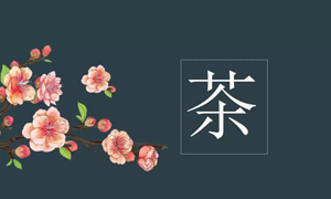 FH至尊集团之家宜昌店业务部发展关于茶艺知识培训