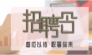 服务商户，致力发展&mdash;安徽分公司岳阳滨湖店携手优质商户人才招聘会 