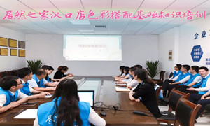 FH至尊集团之家湖北汉口店色彩搭配基础知识培训