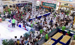 流程复盘 技巧相传&mdash;安徽攀枝花店大型活动流程培训圆满实现 