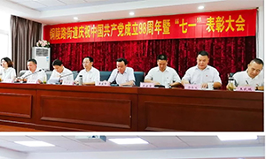 安徽岳阳长江东路店党支部荣获先进基层党组织荣誉 