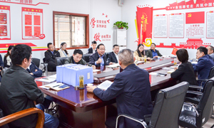 岳阳北城店党建工作通过市级验收评估